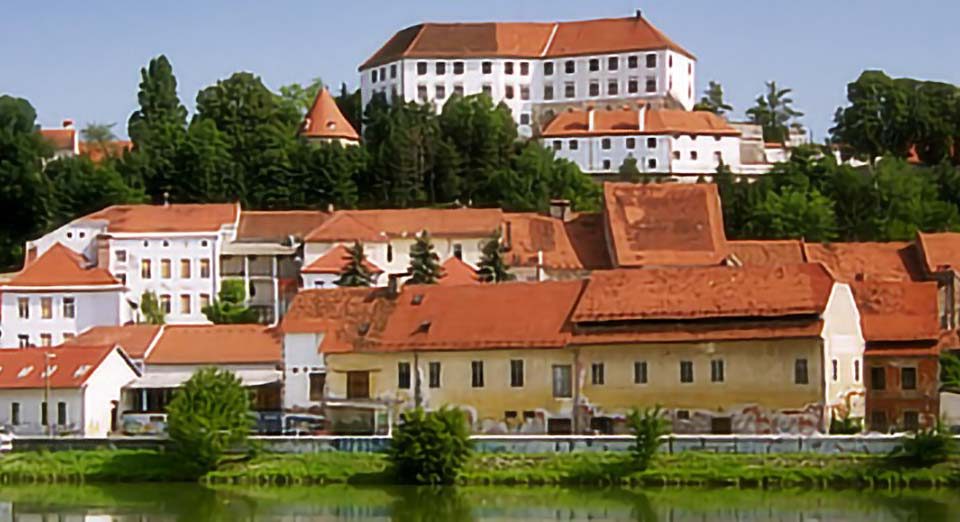 Kombi prevoz Beograd Ptuj