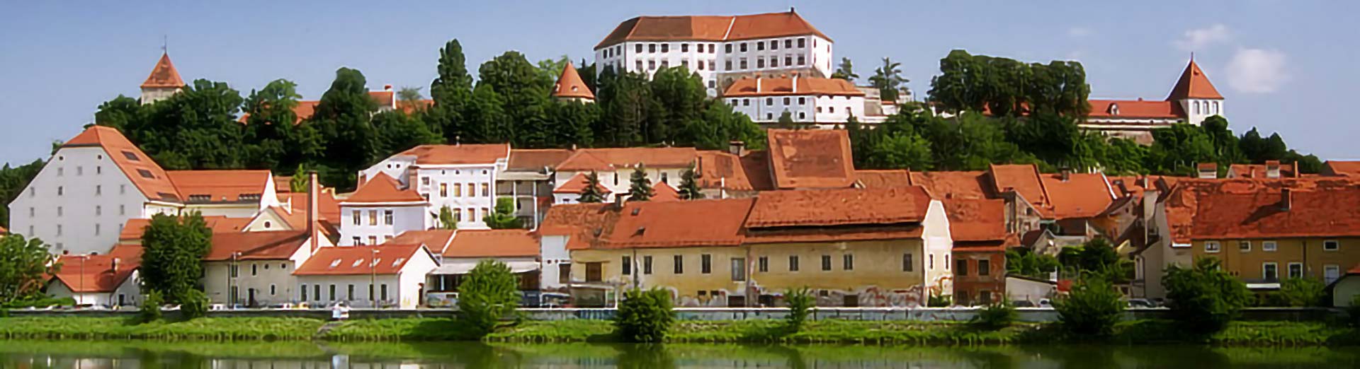 Kombi prevoz Beograd Ptuj