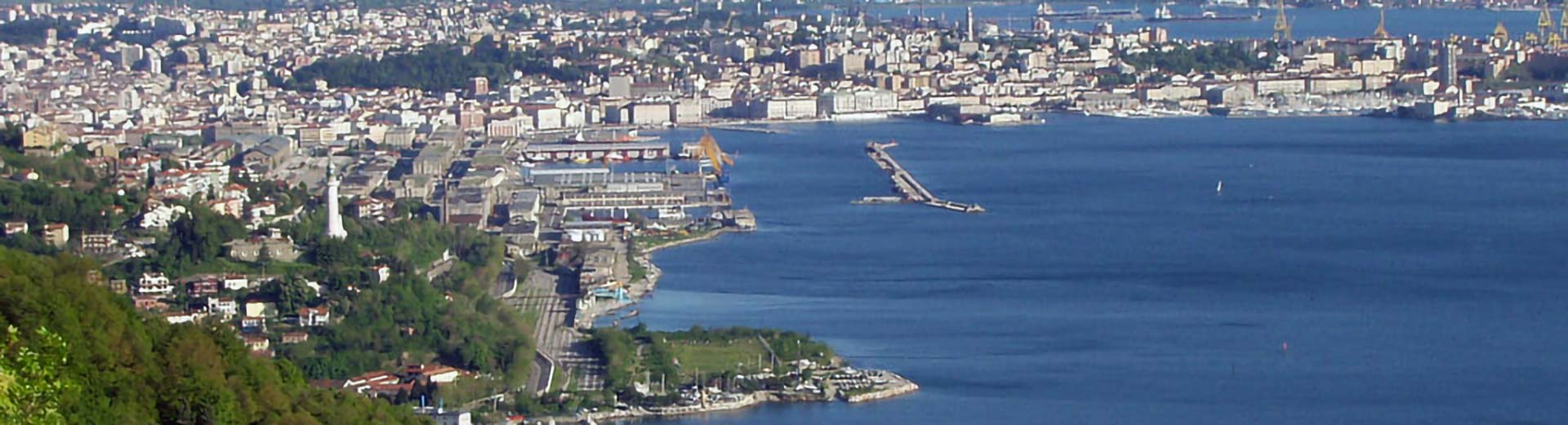 Kombi prevoz Beograd Trst