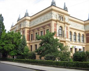 Kombi_prevoz_beograd_linz_2