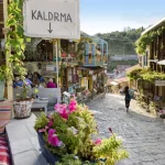 kombi prevoz beograd bar