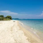 kombi prevoz beograd polihorno