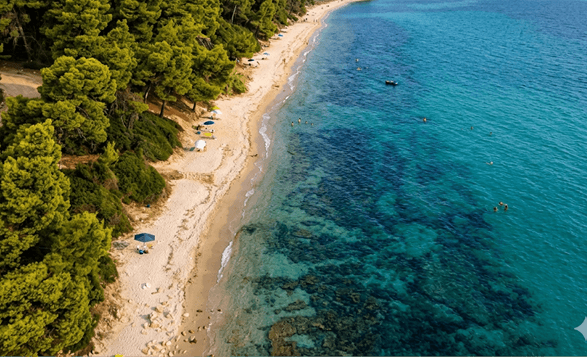 Kombi prevoz Beograd Kriopigi 54 kriopigi